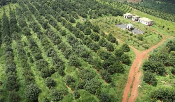 Lâm Đồng: Nông dân xã Quảng Trực phát huy vai trò trong phát triển nông nghiệp bền vững