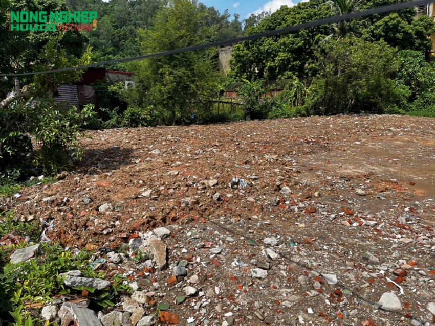 Tại ngõ 336 Trần Nhân Tông hộ dân san lấp hàng trăm tấn chất thải xây dựng trên diện tích đất nông nghiệp và mương thủy lợi.