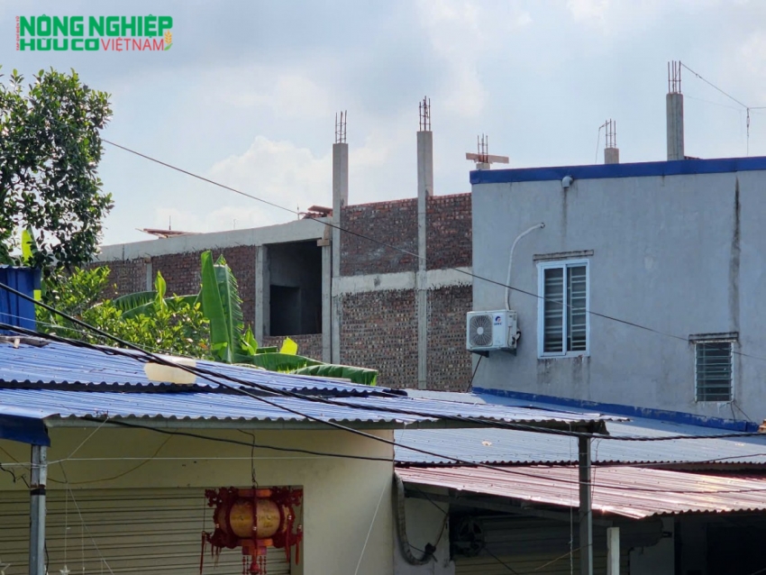 tại ngõ 194 Trần Kiên thuộc địa bàn phường Kiến An, TP. Hải Phòng hàng loạt công trình xây dựng kiên cố từ 2 đến 3 tầng trái phép trên diện tích đất nông nghiệp ( đất 5%) quỹ đất do UBND phường quản lý.