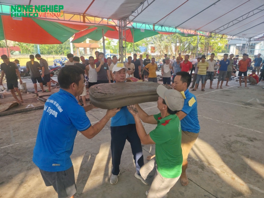 Hội thi Pháo đất Hải Phòng - Bảo tồn và lan tỏa nét văn hóa dân gian độc đáo