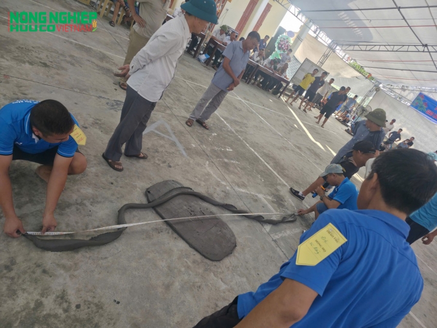 Hội thi Pháo đất Hải Phòng - Bảo tồn và lan tỏa nét văn hóa dân gian độc đáo