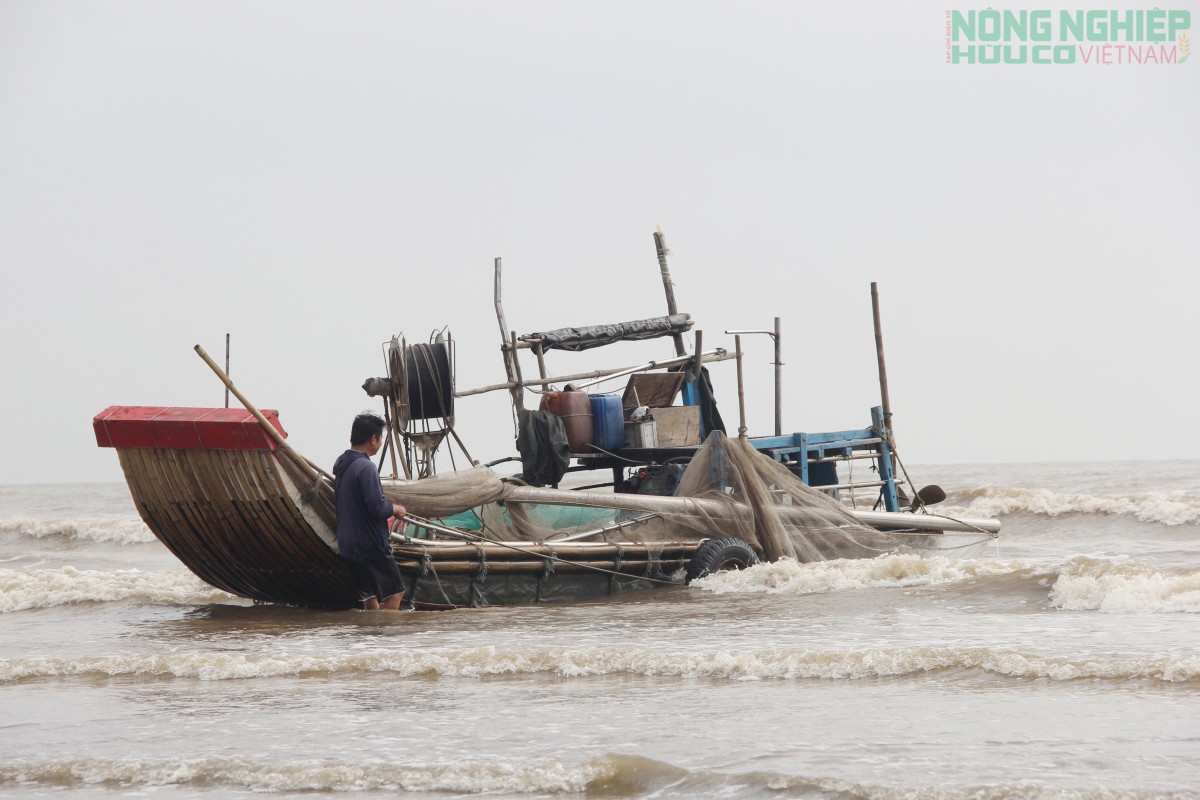 Ra khơi săn ruốc từ 3h sáng, ngư dân kiếm tiền triệu mỗi ngày Ra khơi săn ruốc từ 3h sáng, ngư dân kiếm tiền triệu mỗi ngày