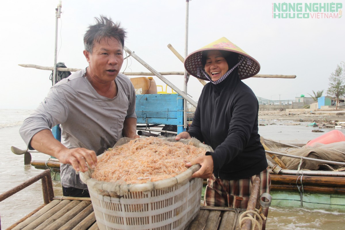 Ra khơi săn ruốc từ 3h sáng, ngư dân kiếm tiền triệu mỗi ngày Ra khơi săn ruốc từ 3h sáng, ngư dân kiếm tiền triệu mỗi ngày