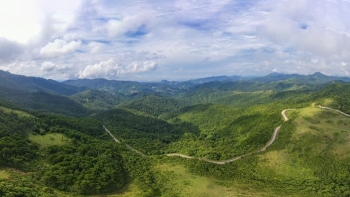 Quảng Ninh: Thành lập Trung tâm Khuyến nông và Quản lý bảo vệ, phát triển rừng