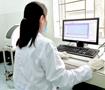 Quảng Ninh: Kết quả mẫu giám sát sự lưu hành của vi rút lở mồm long móng