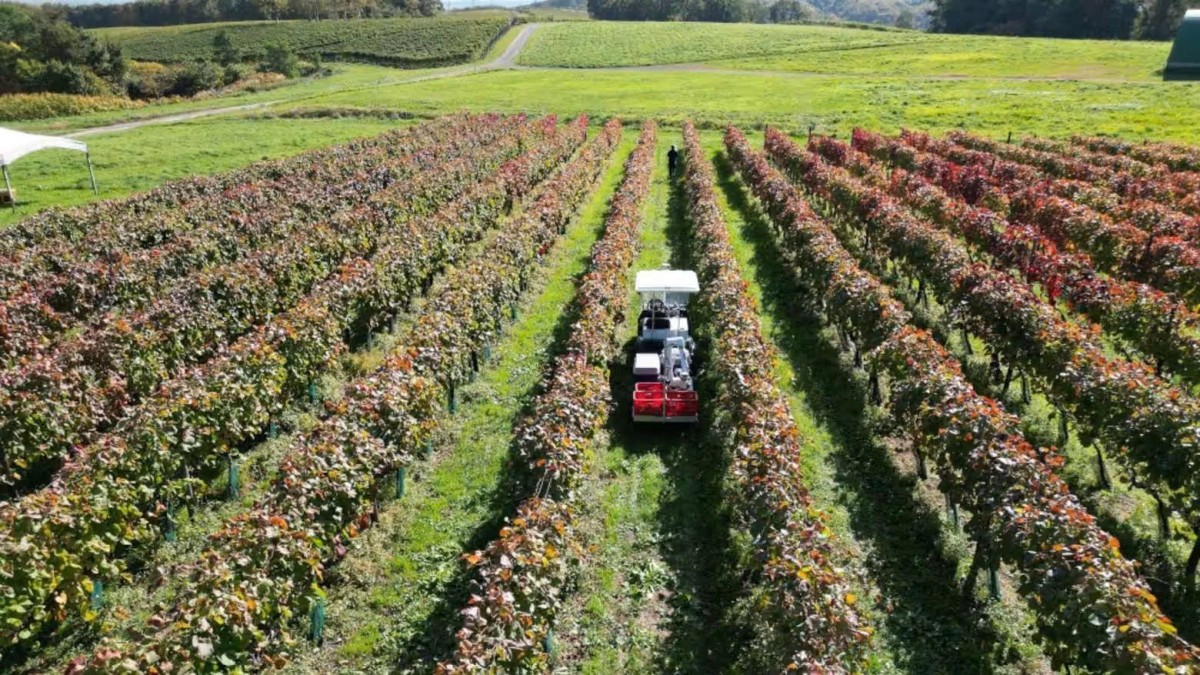 Giảm phát thải trong lĩnh vực trồng trọt - Bài 2: Kinh nghiệm quốc tế và bài học cho Việt Nam