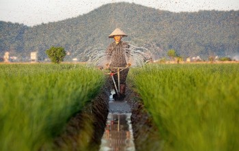 Ngành trồng trọt đặt mục tiêu đến năm 2035 sẽ góp phần giảm ít nhất 15% lượng phát thải khí nhà kính