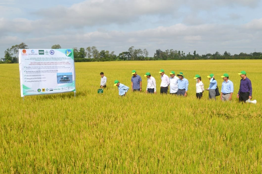 Giảm phát thải trong lĩnh vực trồng trọt -Bài 1: Tính cấp thiết để phát triển nông nghiệp bền vững