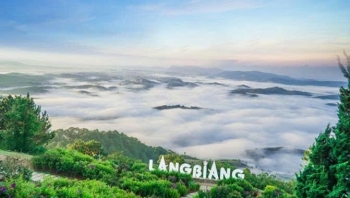 Phê duyệt Kế hoạch quản lý và bảo vệ môi trường Khu dự trữ sinh quyển thế giới Langbiang Phê duyệt Kế hoạch quản lý và bảo vệ môi trường Khu dự trữ sinh quyển thế giới Langbiang