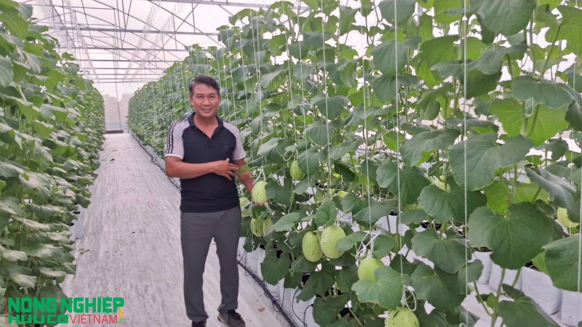 Nông sản hữu cơ ngày càng được quan tâm tại thị trường Hải Phòng