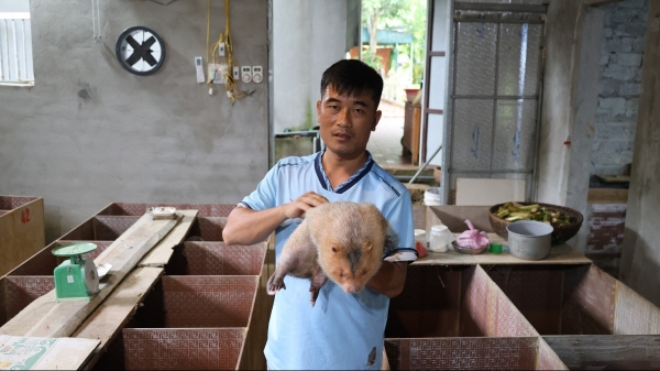 Chàng trai mường “gác giấc mơ đại học” để làm kinh tế Chàng trai mường “gác giấc mơ đại học” để làm kinh tế
