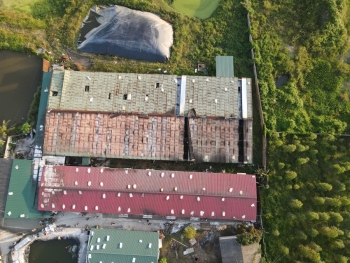 Quảng Ninh: "Bà hỏa" ghé thăm,  trang trại lợn tan hoang