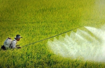 Hoàn thiện lộ trình cấm thuốc trừ sâu: Hướng tới nền nông nghiệp xanh, an toàn và bền vững