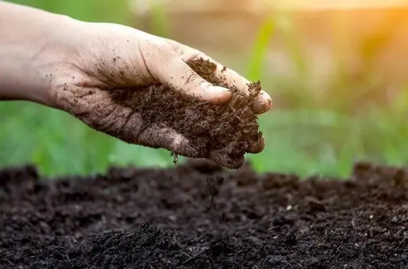 Hiến kế giúp nông dân bảo vệ sức khỏe đất trồng lúa, hướng đến sản xuất bền vững Hiến kế giúp nông dân bảo vệ sức khỏe đất trồng lúa, hướng đến sản xuất bền vững