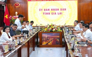 Chủ tịch tỉnh Gia Lai làm việc với Hiệp hội Sắn Việt Nam Chủ tịch tỉnh Gia Lai làm việc với Hiệp hội Sắn Việt Nam