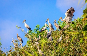 Triển khai Kế hoạch 628: Chiến dịch trọng điểm, cần chú trọng đến công tác truyền thông Triển khai Kế hoạch 628: Chiến dịch trọng điểm, cần chú trọng đến công tác truyền thông
