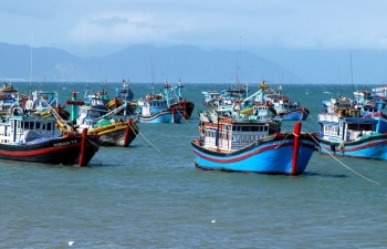 Khi nghề cá bước vào kỷ nguyên số hóa, quyết tâm gỡ “thẻ vàng” IUU Khi nghề cá bước vào kỷ nguyên số hóa, quyết tâm gỡ “thẻ vàng” IUU