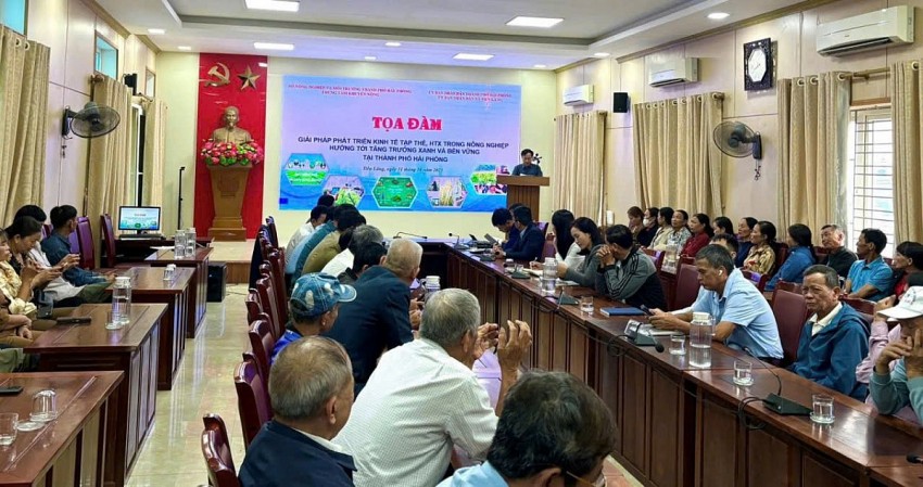 Hải Phòng: Thúc đẩy kinh tế tập thể, HTX nông nghiệp hướng tới tăng trưởng xanh và bền vững