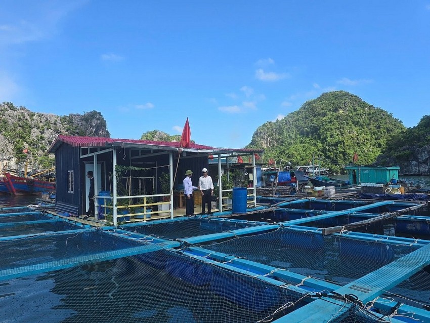 Hải Phòng triển khai tháng cao điểm chống khai thác IUU và phát triển bền vững ngành thủy sản