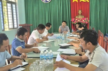 Gia Lai thúc đẩy phát triển chăn nuôi dịp cuối năm 2025