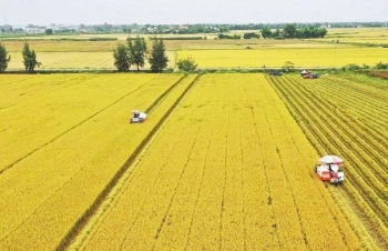 Chọn hữu cơ để phát triển nông nghiệp bền vững cho Đồng bằng sông Cửu Long
