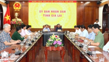 Phó Thủ tướng Hồ Quốc Dũng yêu cầu tỉnh Gia Lai khẩn trương khắc phục hậu quả bão số 13