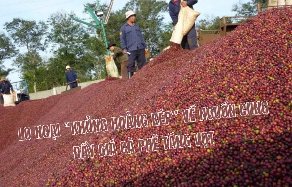 Lo ngại “khủng hoảng kép” về nguồn cung đẩy giá cà phê tăng vọt