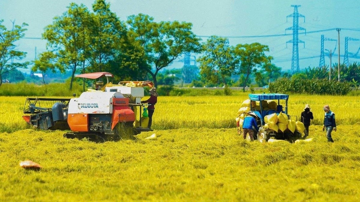 Dấu ấn 8 thập kỷ ngành Nông nghiệp và Môi trường: Kế thừa và đổi mới vì phát triển xanh, bền vững