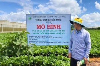 Lâm Đồng tuyên dương 12 tập thể, cá nhân ngành Nông nghiệp và Môi trường có thành tích xuất sắc