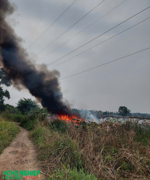 Hải Phòng thiết lập đường dây nóng tiếp nhận, xử lý thông tin về ô nhiễm môi trường