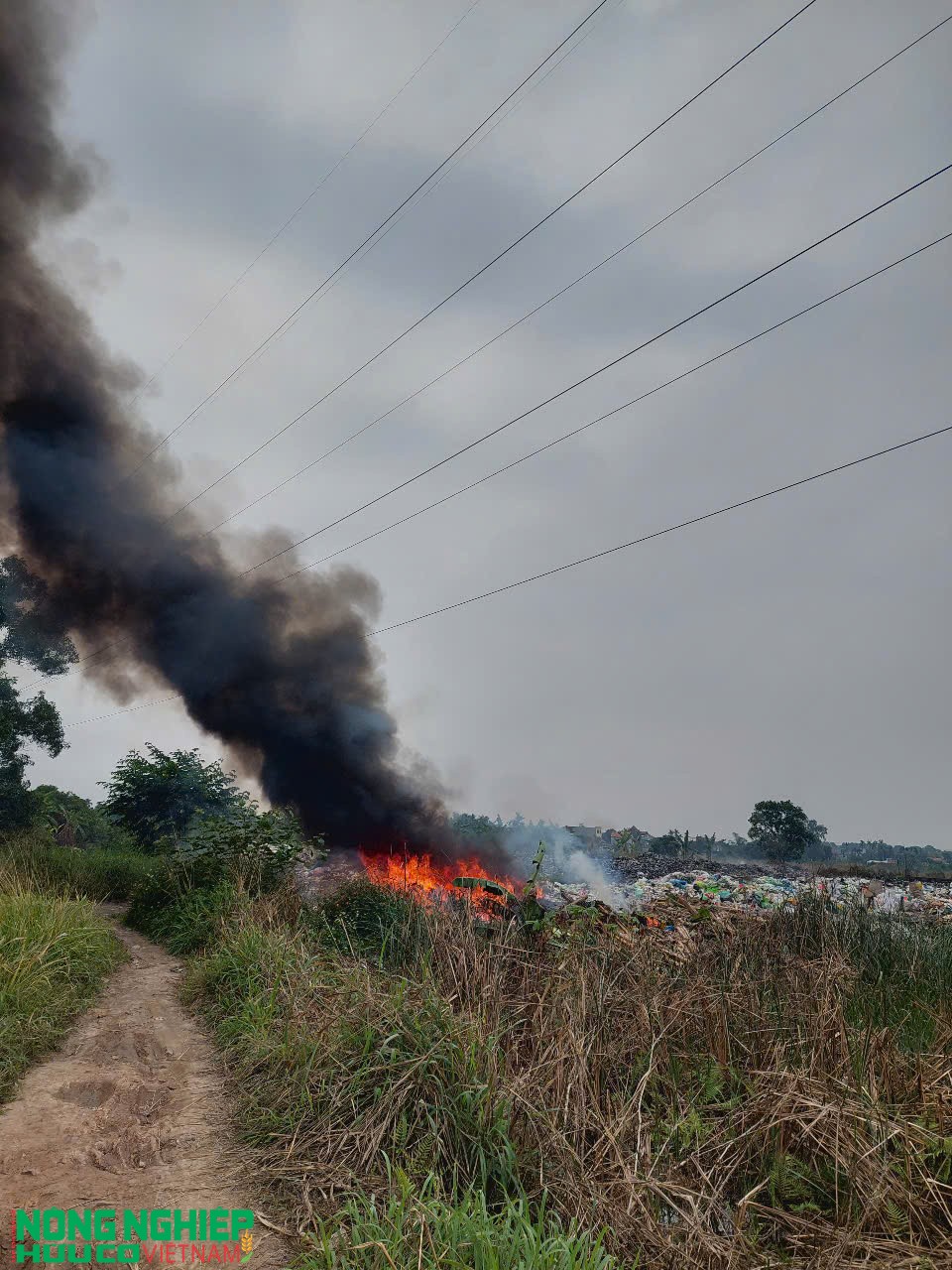 Hải Phòng thiết lập đường dây nóng tiếp nhận, xử lý thông tin về ô nhiễm môi trường