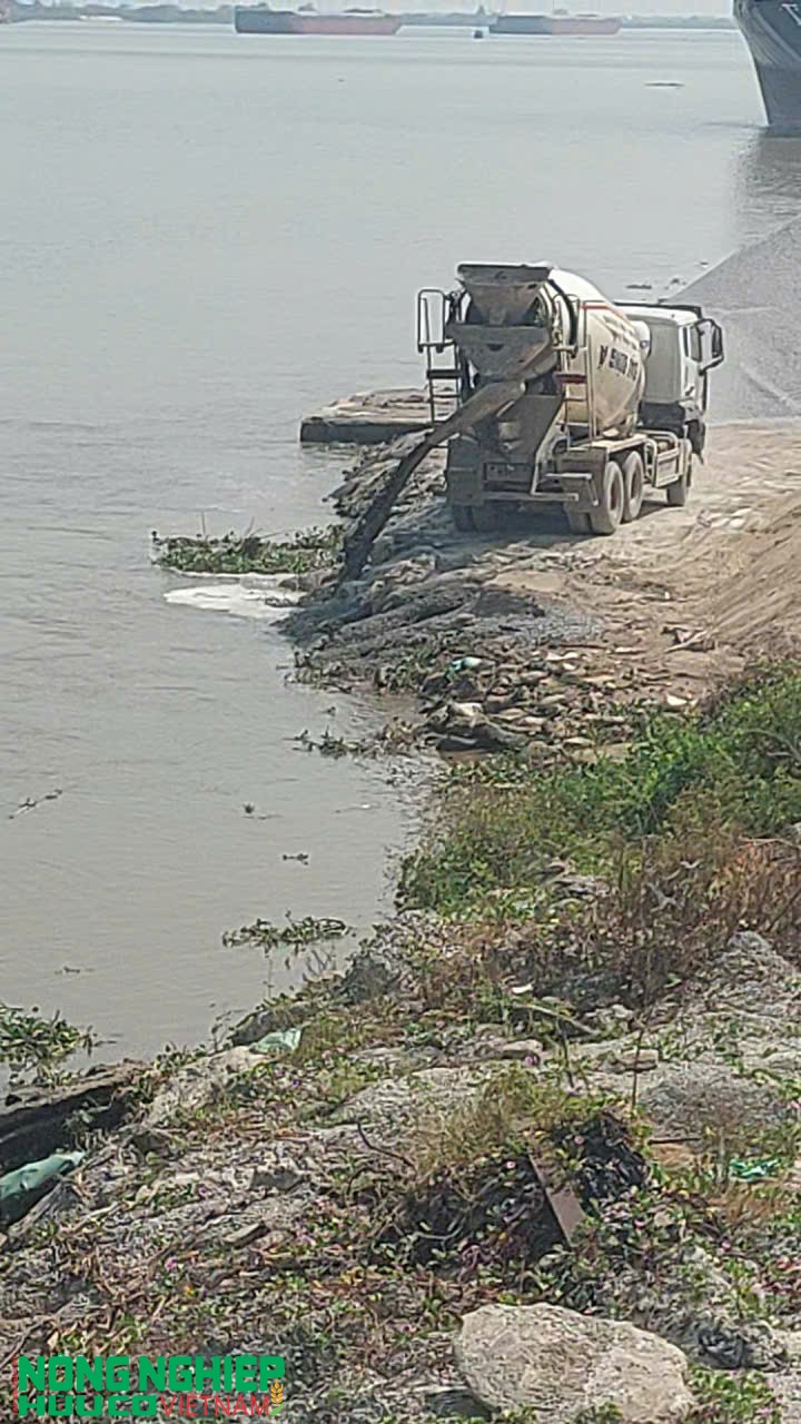 Hải Phòng thiết lập đường dây nóng tiếp nhận, xử lý thông tin về ô nhiễm môi trường