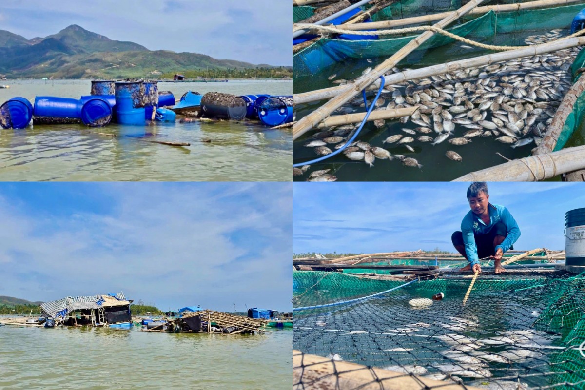 Tập trung cao độ khôi phục sản xuất nông nghiệp sau bão