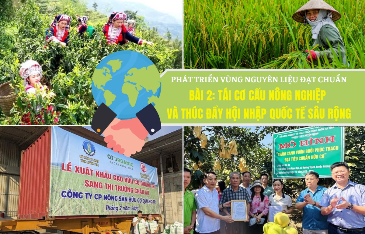 Phát triển vùng nguyên liệu đạt chuẩn - Bài 2: Tái cơ cấu nông nghiệp và thúc đẩy hội nhập quốc tế sâu rộng