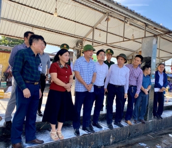 Thực hiện đợt cao điểm hành động chống khai thác thủy sản bất hợp pháp tại Cảng cá Ngọc Hải