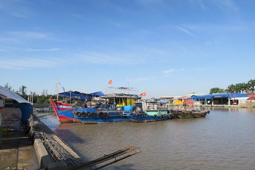 Thực hiện đợt cao điểm hành động chống khai thác thủy sản bất hợp pháp tại Cảng cá Ngọc Hải