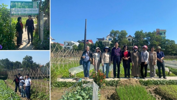 Hà Nội: Xã Nội Bài tổ chức tập huấn kỹ thuật sản xuất rau hữu cơ