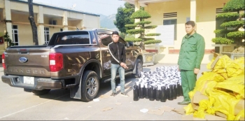 Quảng Ninh: Bắt giữ đối tượng vận chuyển 224 bình khí cười