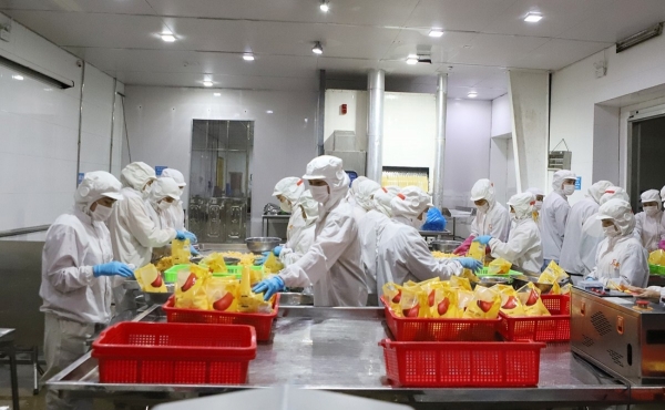 Bắc Ninh đẩy mạnh ứng dụng khoa học công nghệ trong phát triển chăn nuôi hiện đại