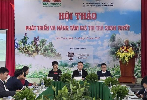 Phát triển bền vững để nâng tầm giá trị trà Shan tuyết