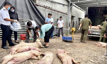 Đồng Nai quyết liệt chấn chỉnh tình trạng giết mổ “chui”