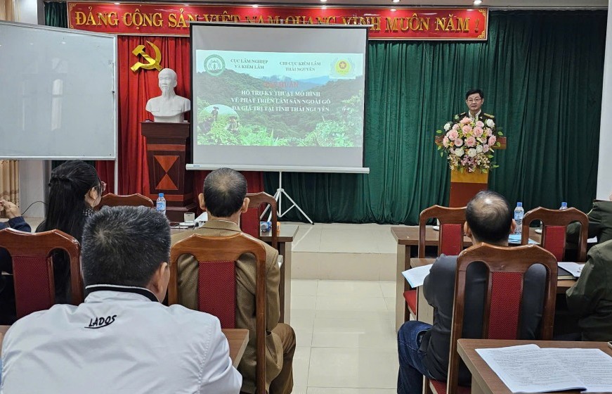 Thái Nguyên: Đẩy mạnh phát triển mô hình lâm sản ngoài gỗ đa giá trị