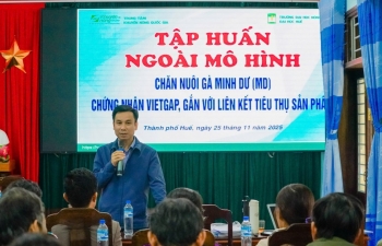 Huế: Tập huấn kỹ thuật chăn nuôi gà VietGAHP gắn với liên kết tiêu thụ sản phẩm