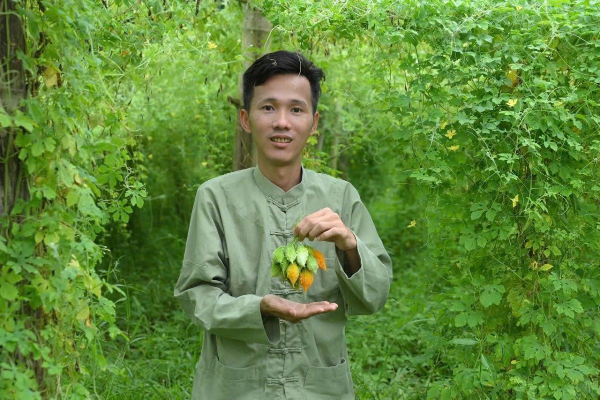 Thái Nguyên: Thúc đẩy phát triển nông lâm nghiệp gắn với đồng bào dân tộc thiểu số