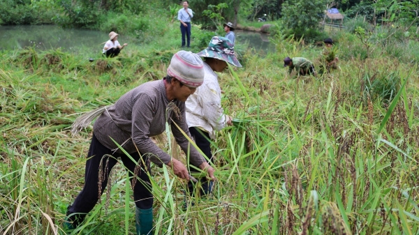 Thanh Hóa: Phê duyệt hơn 6 tỉ đồng hỗ trợ cho Nhân dân phát triển nông nghiệp