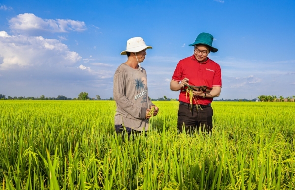 Gỡ “nút thắt” tín dụng xanh: Khơi thông dòng vốn cho chuỗi giá trị nông nghiệp bền vững