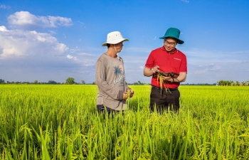 Gỡ “nút thắt” tín dụng xanh: Khơi thông dòng vốn cho chuỗi giá trị nông nghiệp bền vững