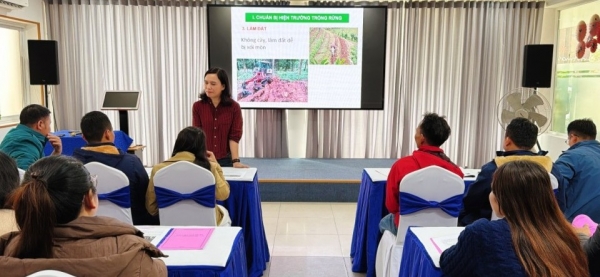 Quảng Trị: Tập huấn nhân rộng mô hình trồng rừng thâm canh keo cho hộ nghèo và cận nghèo