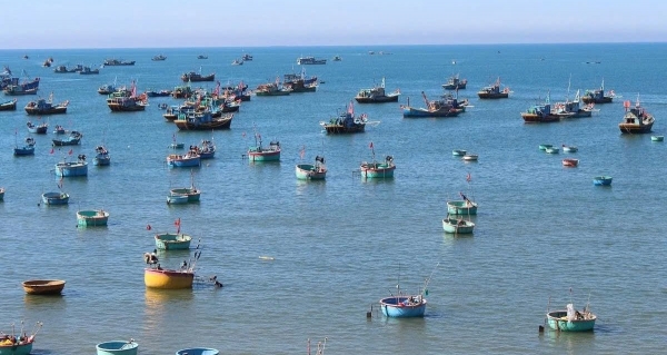 Lâm Đồng ban hành chính sách hỗ trợ ổn định đời sống cho chủ tàu thủy sản không đủ điều kiện khai thác