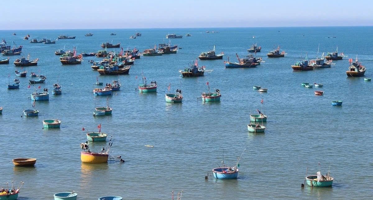 Lâm Đồng: Xử phạt 900 triệu đồng đối với cá nhân khai thác thủy sản trái phép